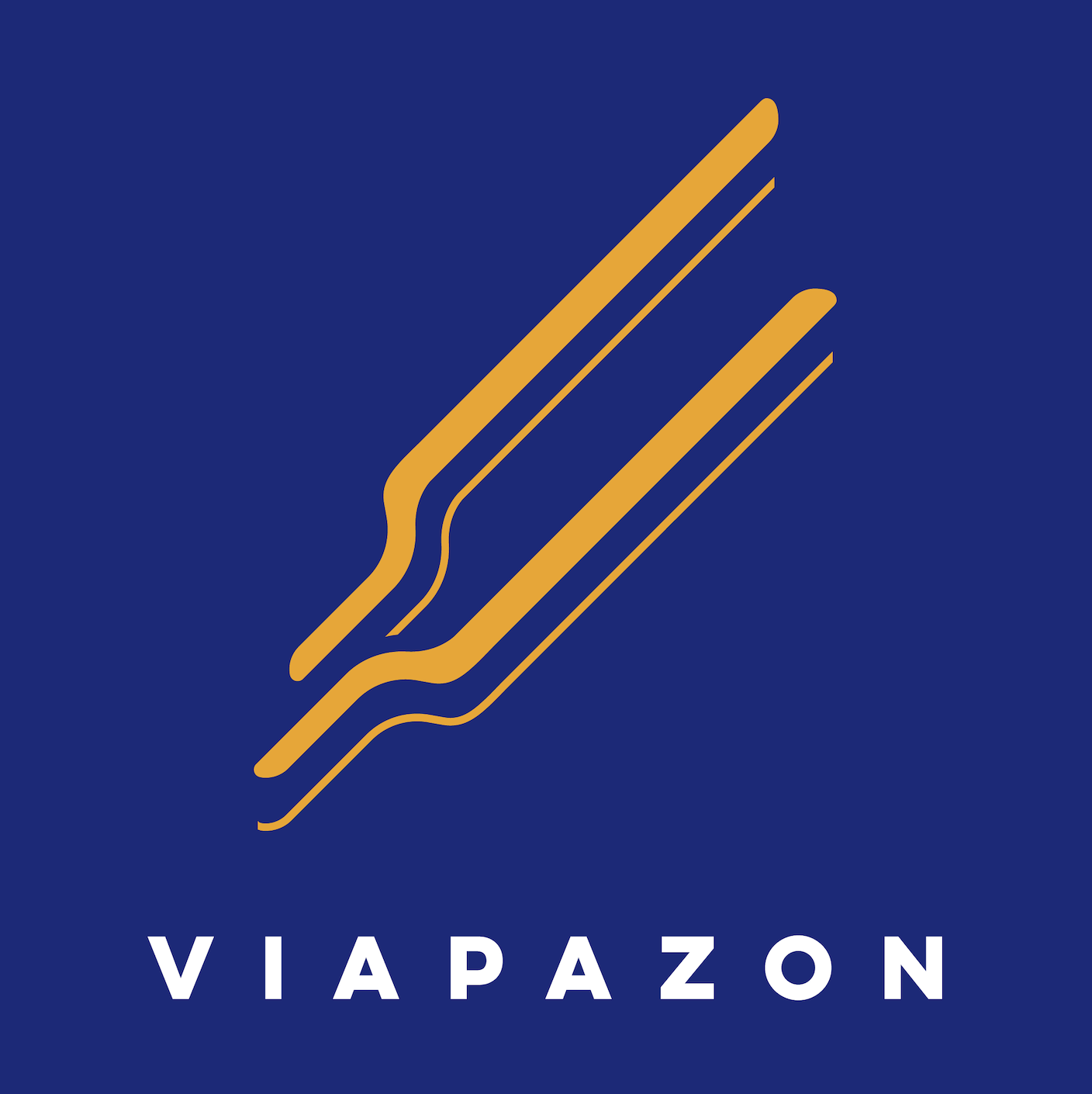 Logo Viapazon